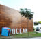 Samsung Ocean abre cursos gratuitos para o mês de março com foco em vestíveis. Não perca a oportunidade de aprender sobre essa tecnologia em alta