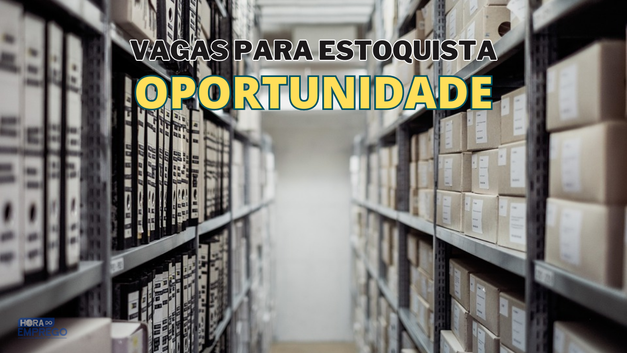 ESTOQUISTA