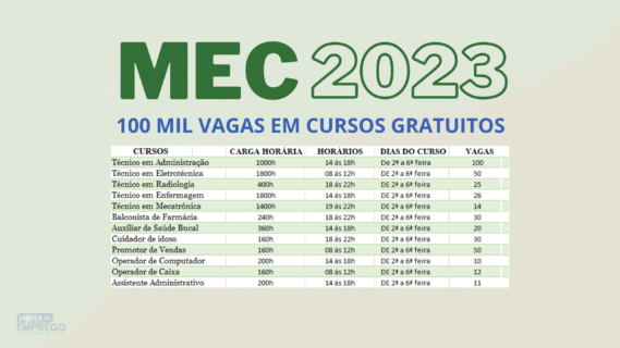 MEC ANUNCIA MAIS DE 100 MIL VAGAS EM CURSOS ONLINE GRATUITOS - Hora do ...