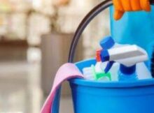 Cleaning Services Concept . The Cleaning Lady With A Bucket And