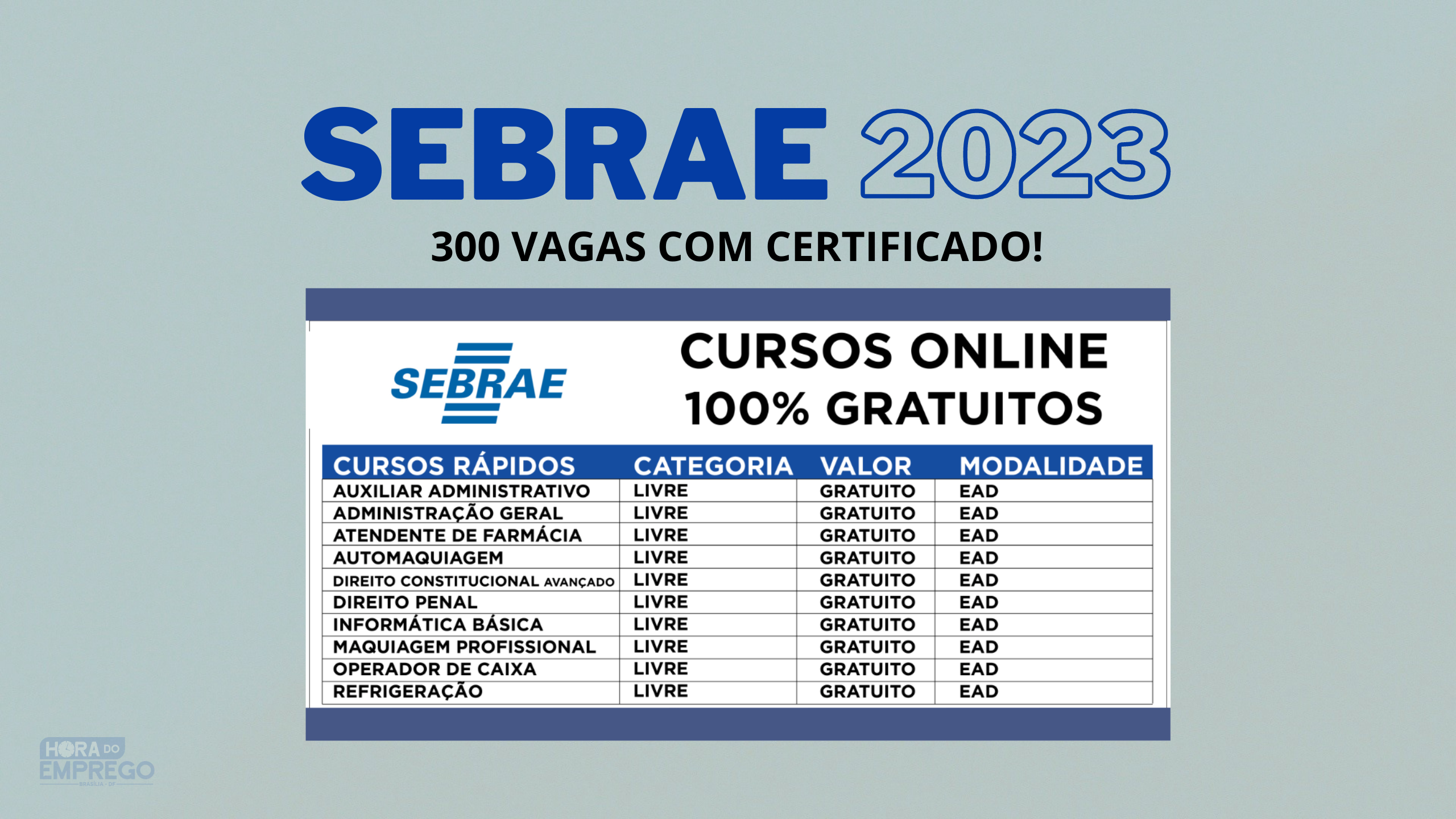 SEBRAE CURSOS GRATUITOS