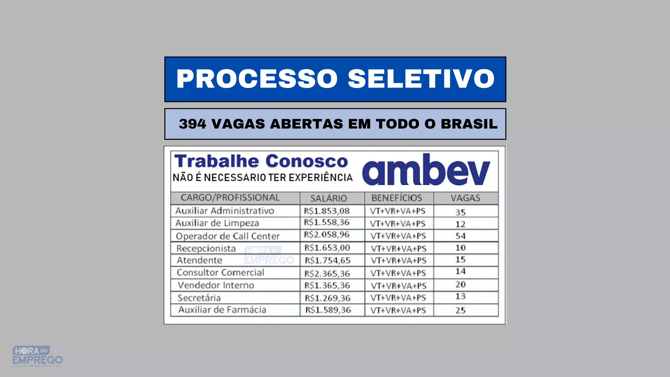 Novo Processo Seletivo da Ambev tem 394 vagas abertas em todo o Brasil ...