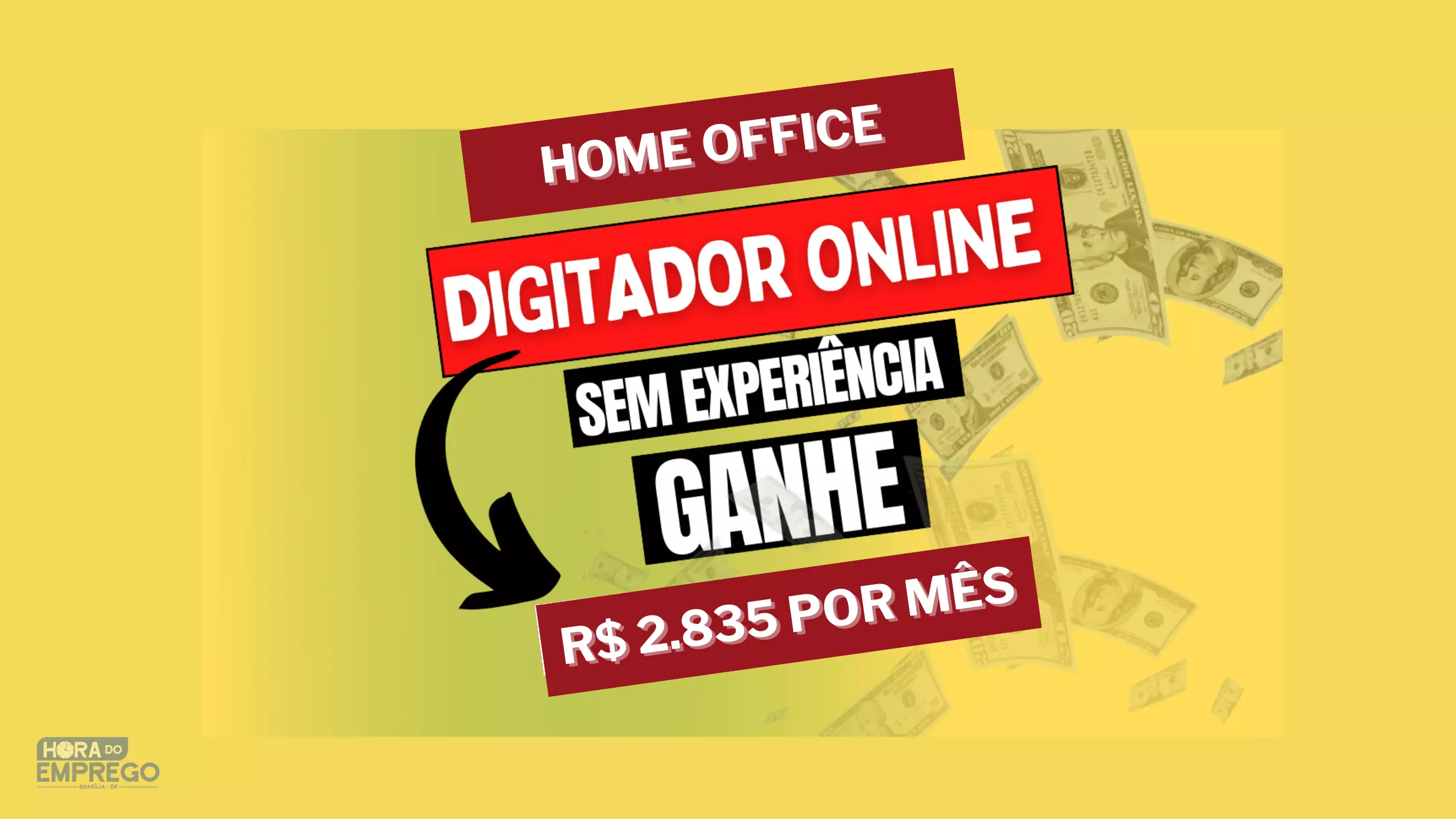 Vagas: Digitador Online Remunerado