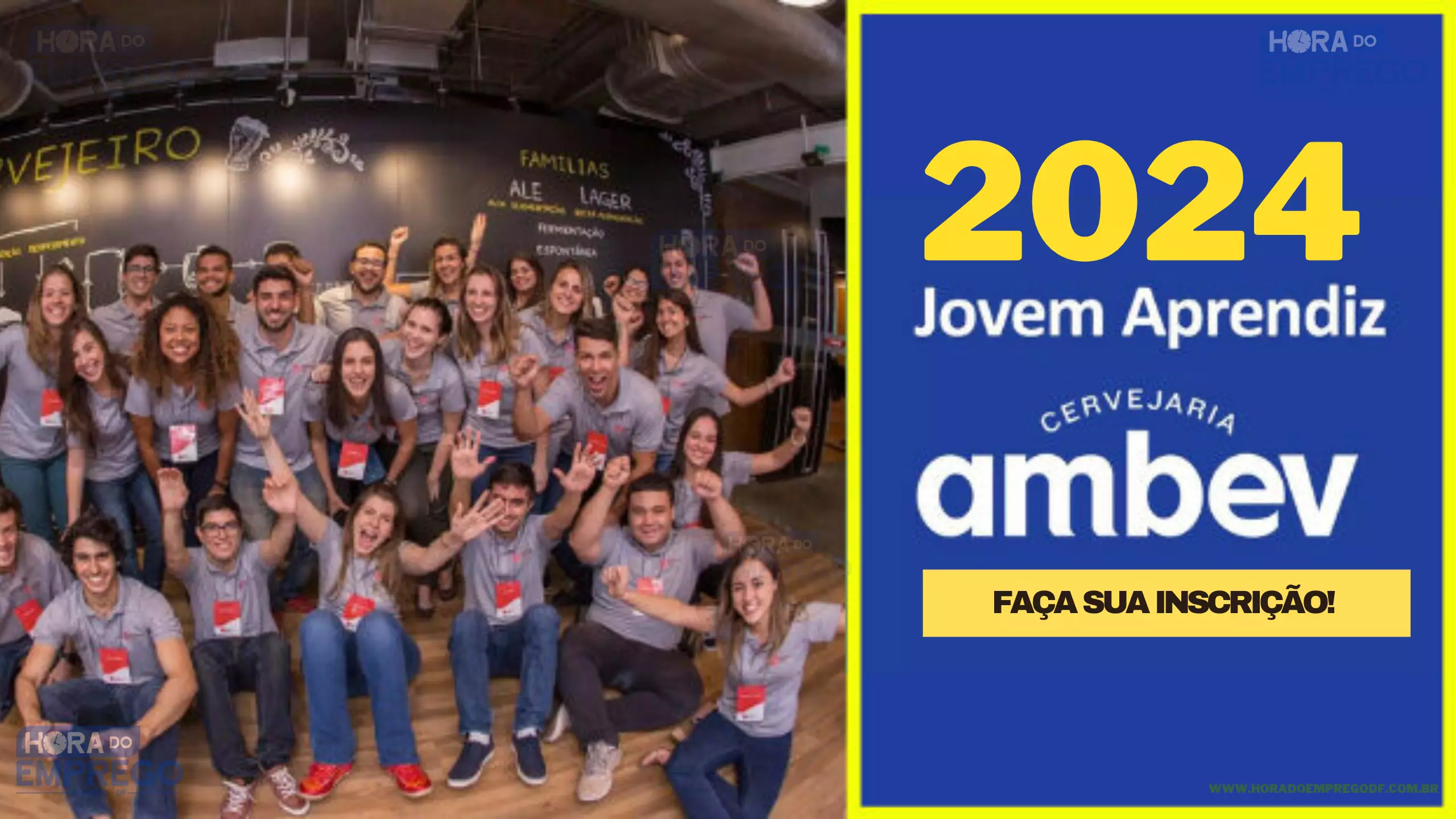 _APRENDIZ AMBEV 2024