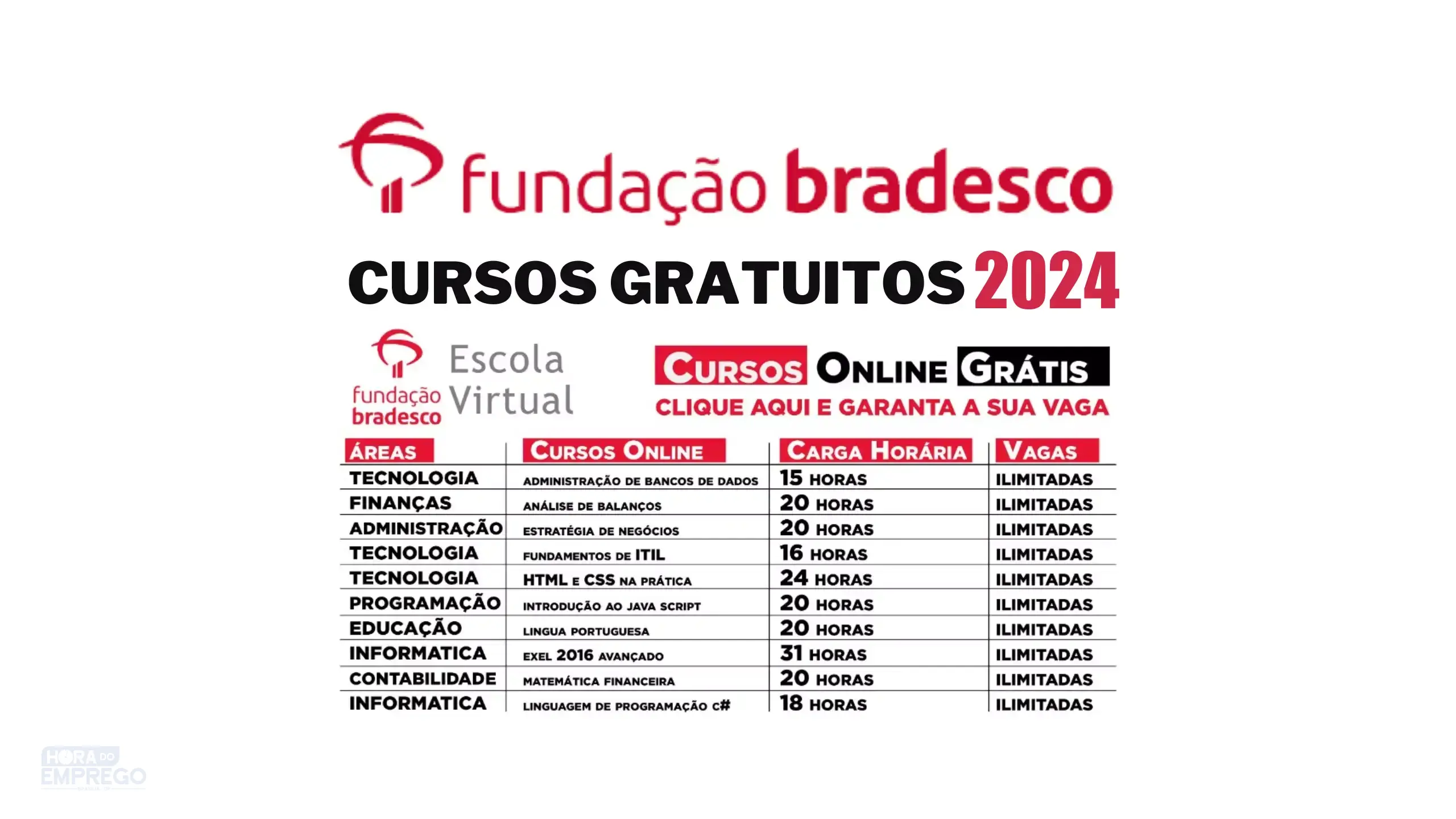 _Fundação bradesco