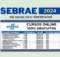 SEBRAE