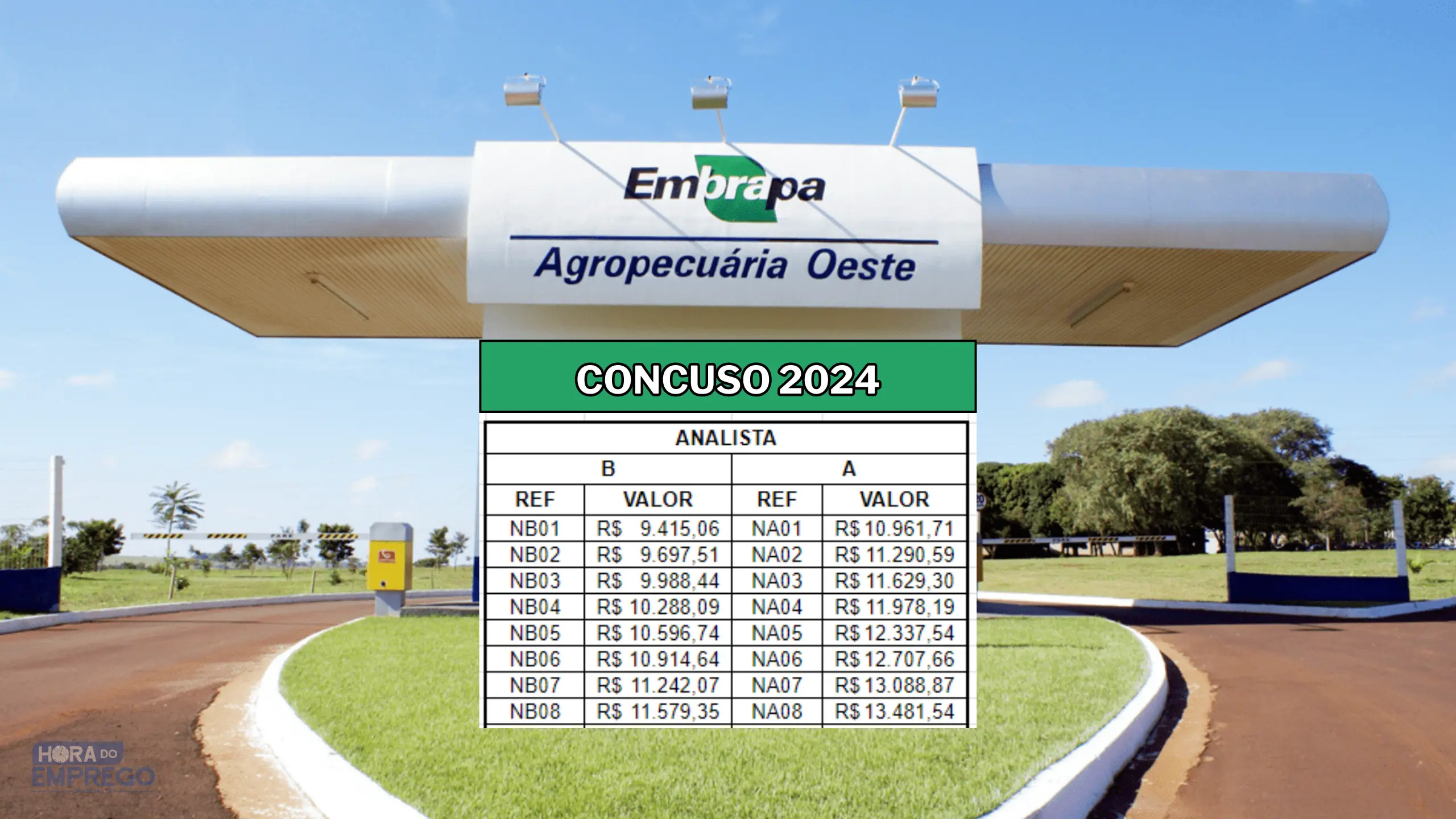 _EMBRAPA Concurso Embrapa 2024