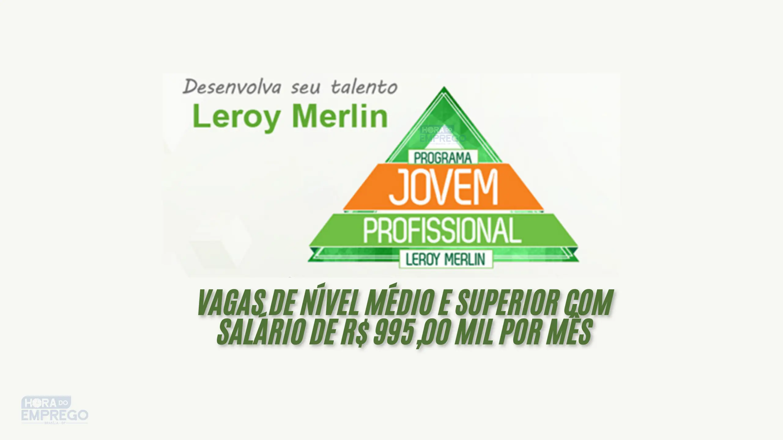 _LEROY MERLIN Aprendiz