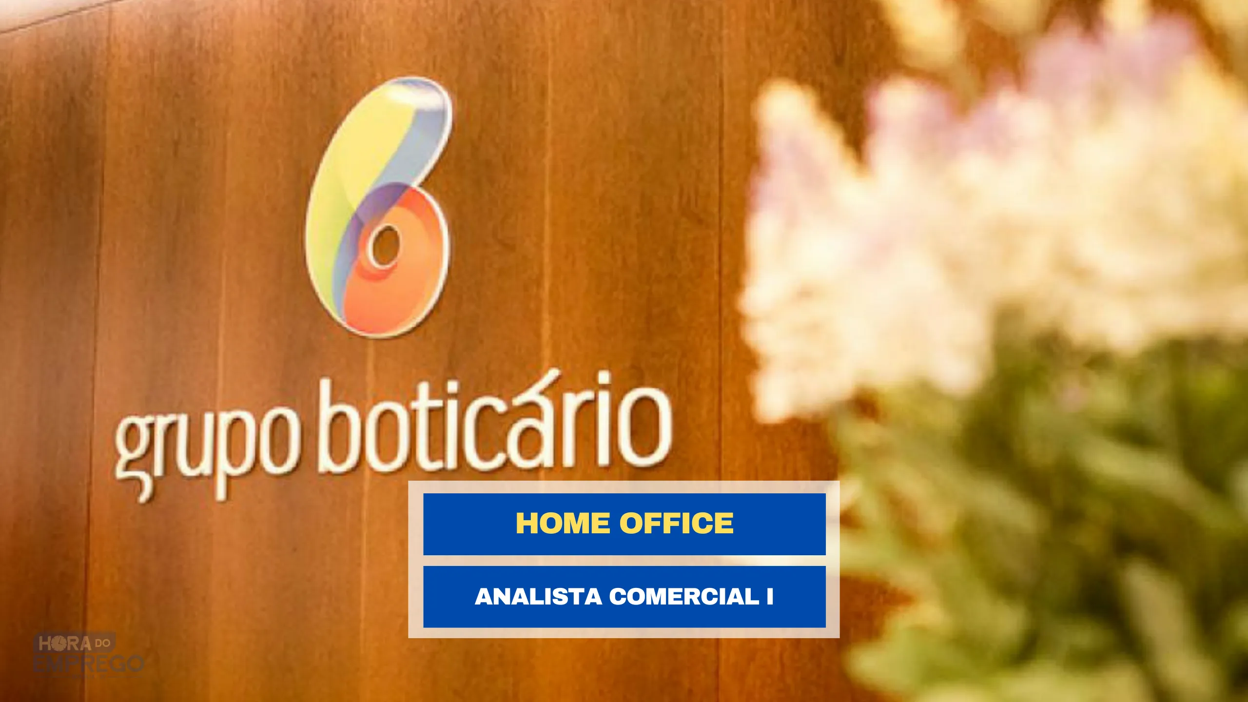 Analista Comercial I