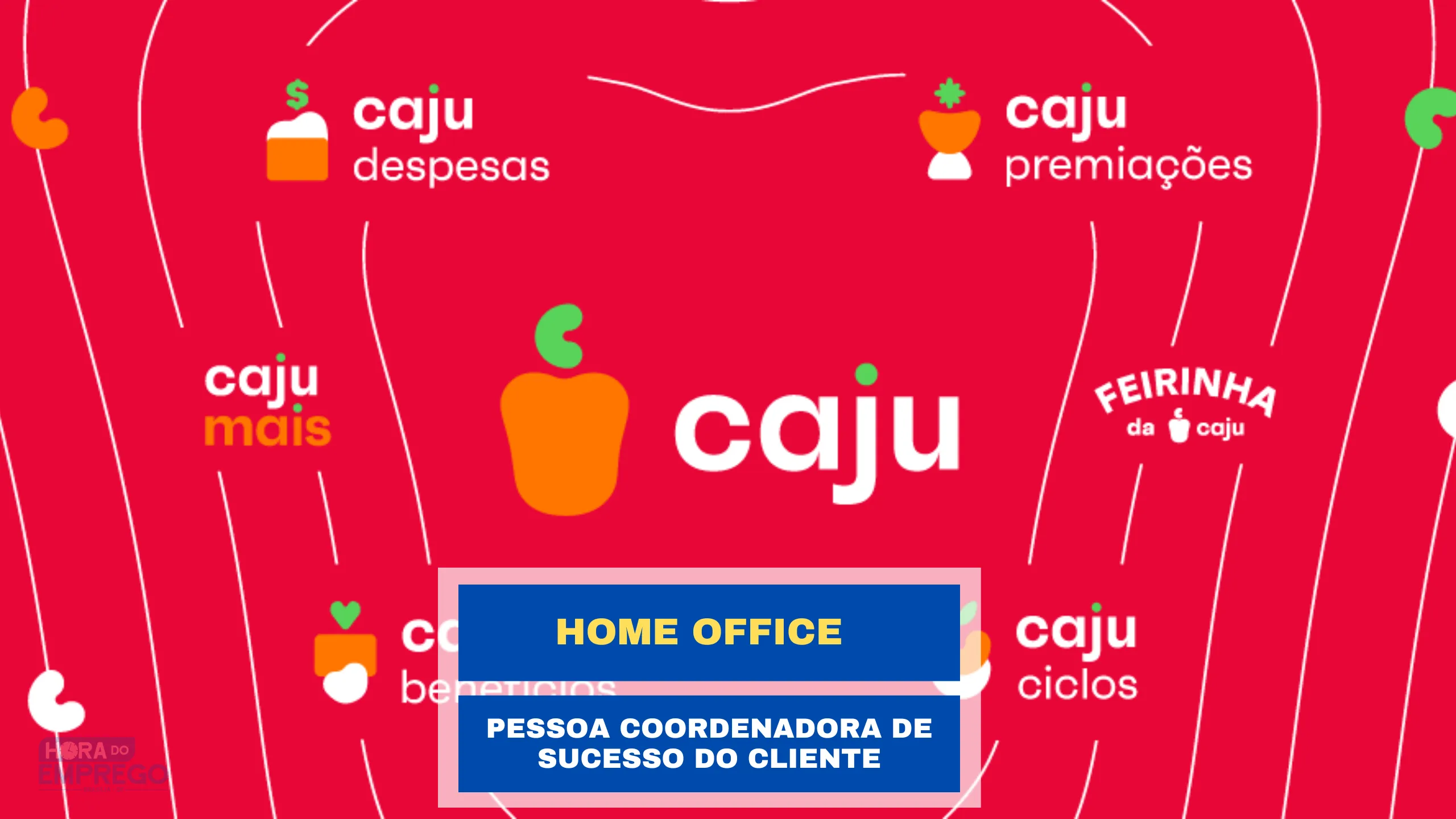 Pessoa Coordenadora de Sucesso do Cliente