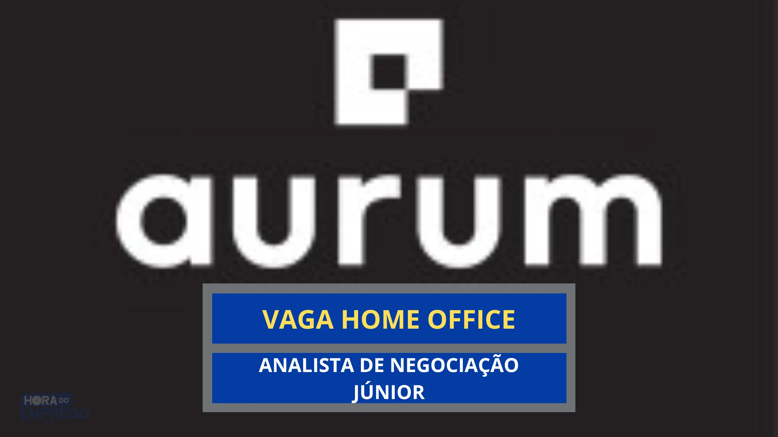 Analista de Negociação Júnior