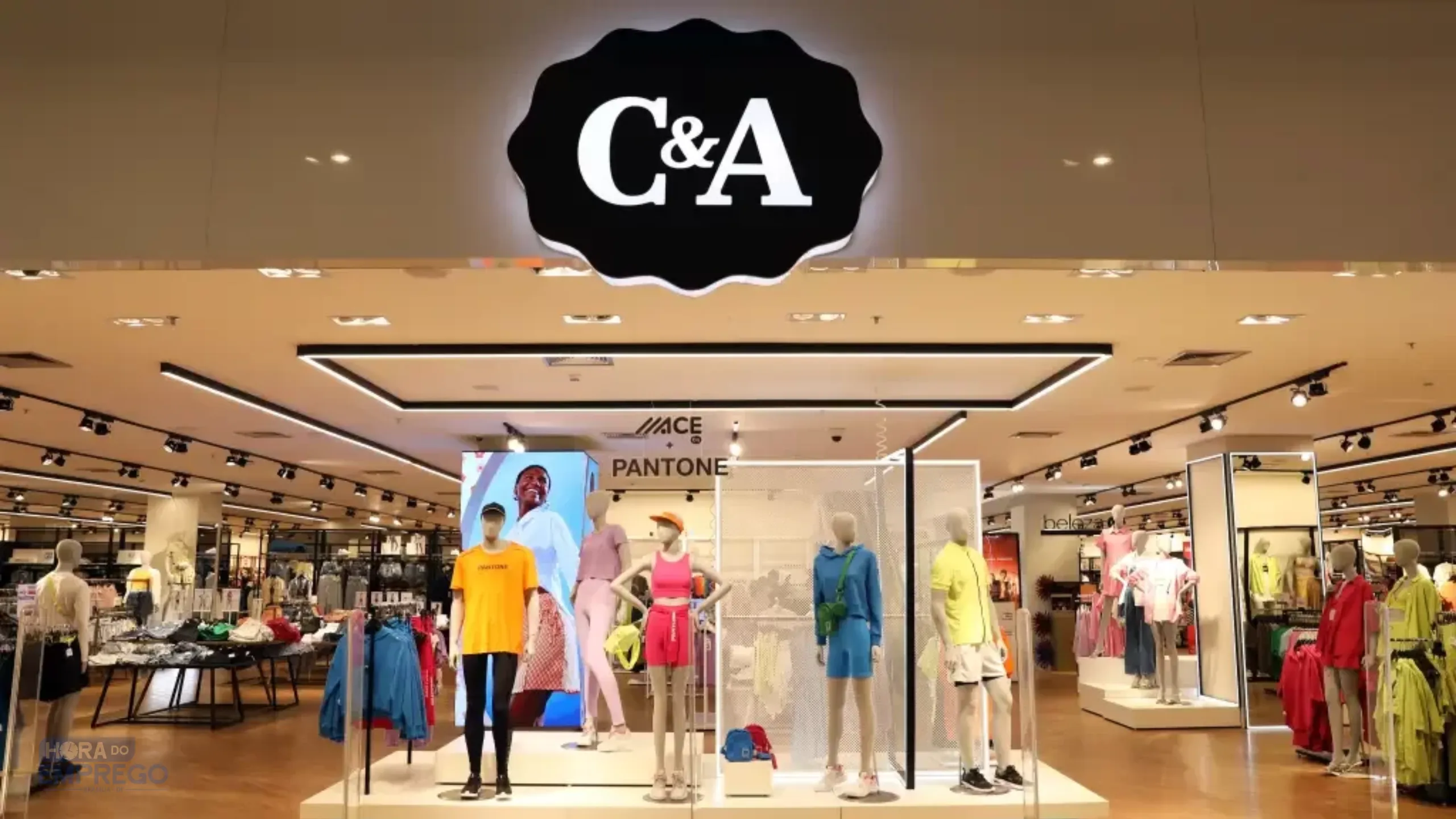 Especialista Salesforce