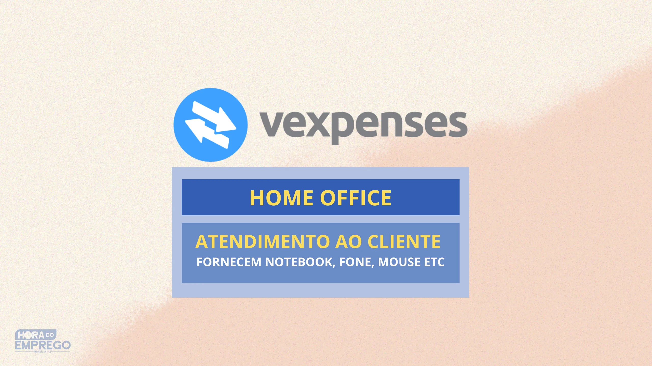 VEXPENSES