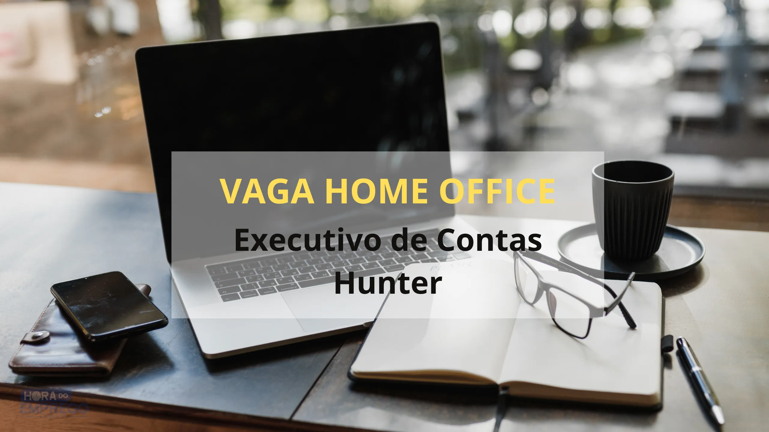 Executivo de Contas Hunter
