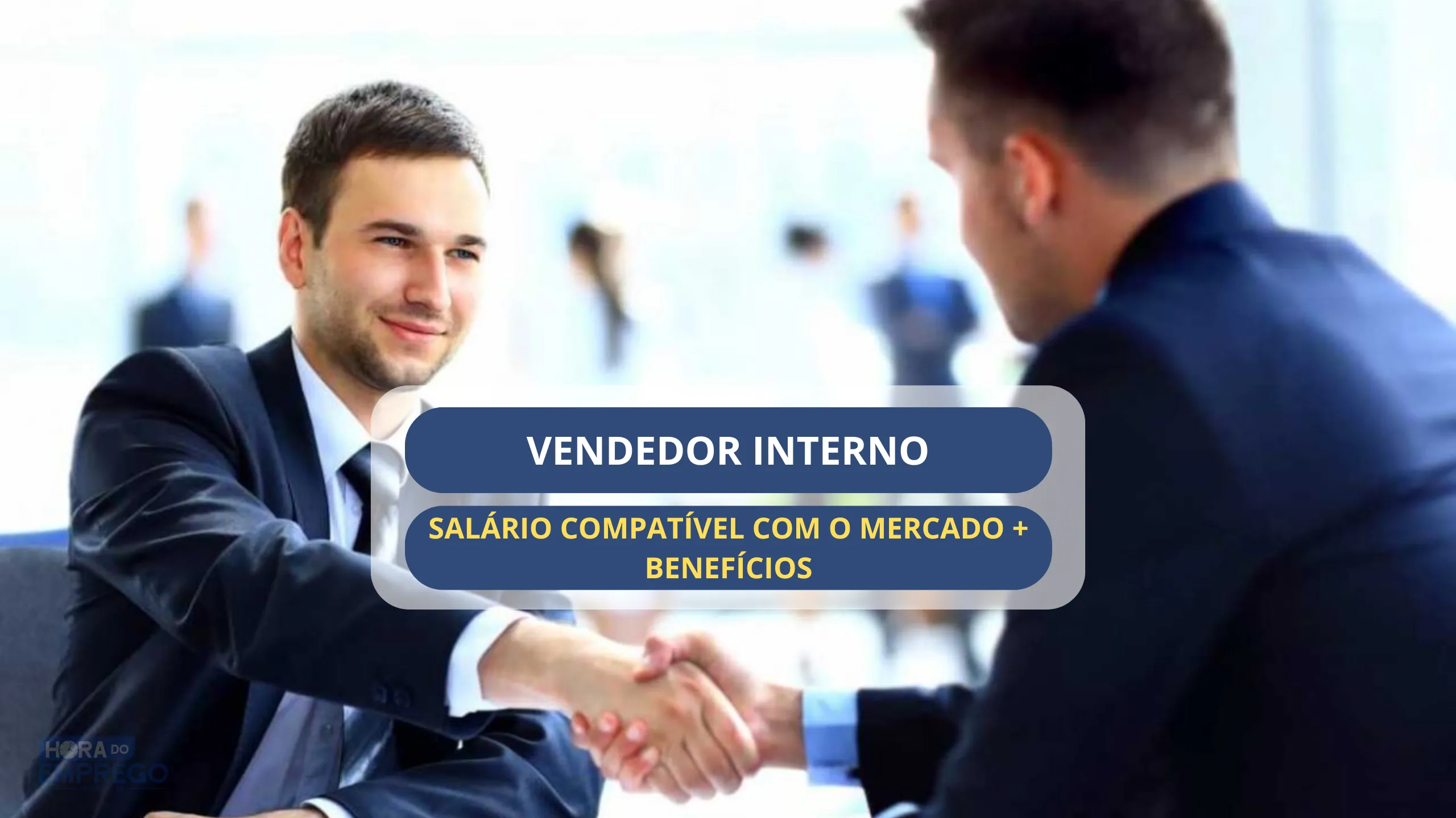 Vendedor Interno