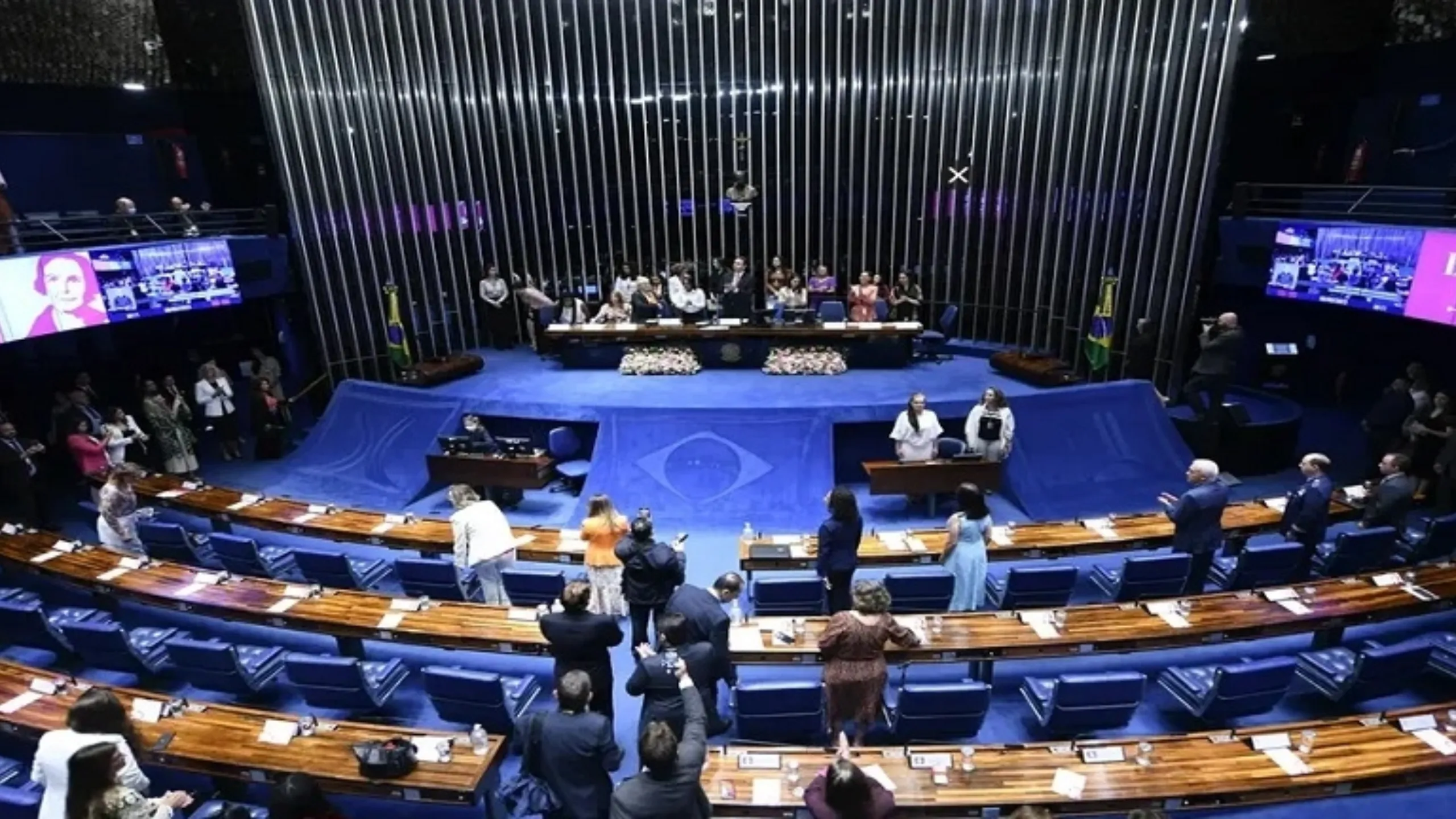 senado