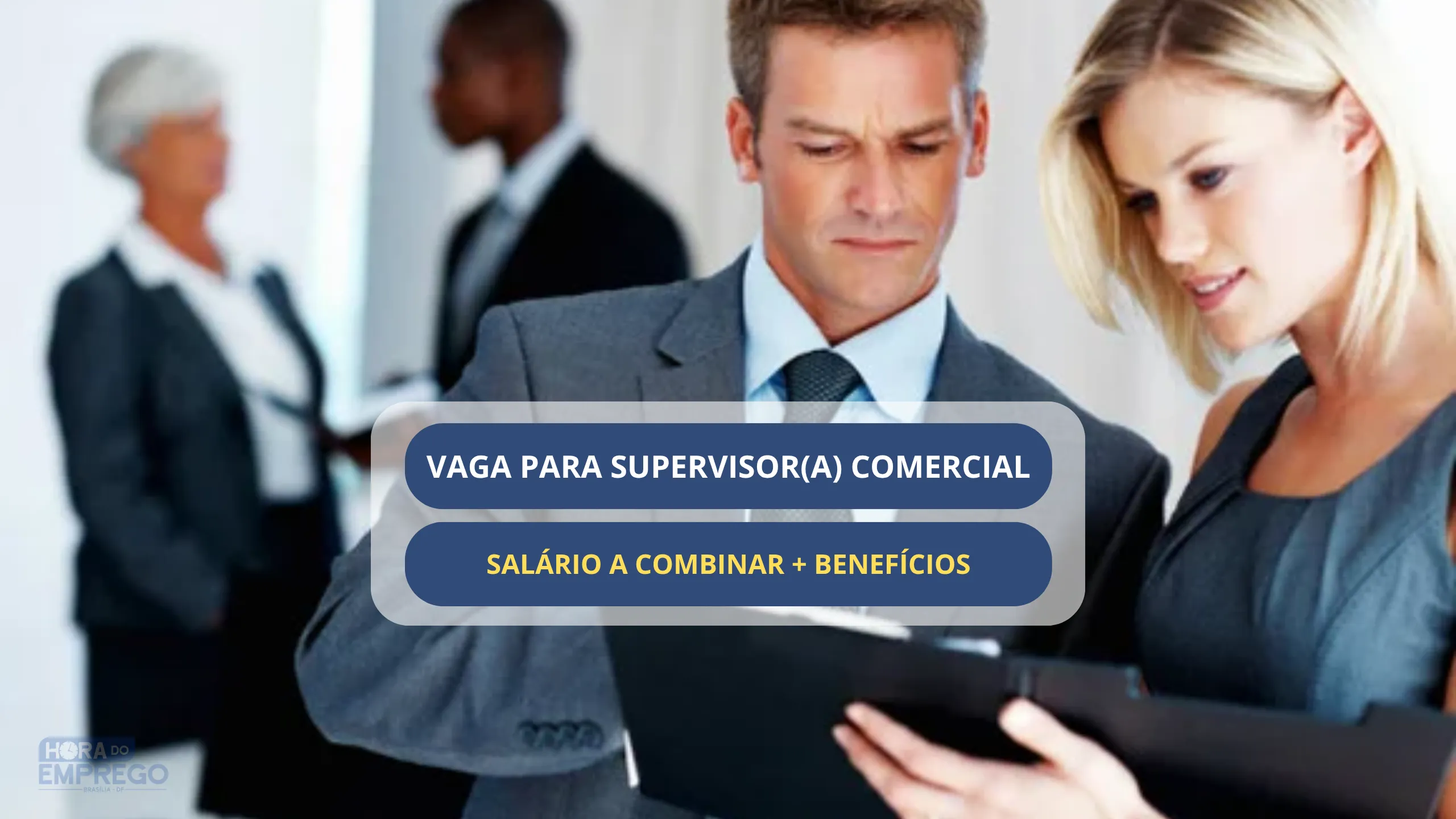 Supervisor(a) Comercial