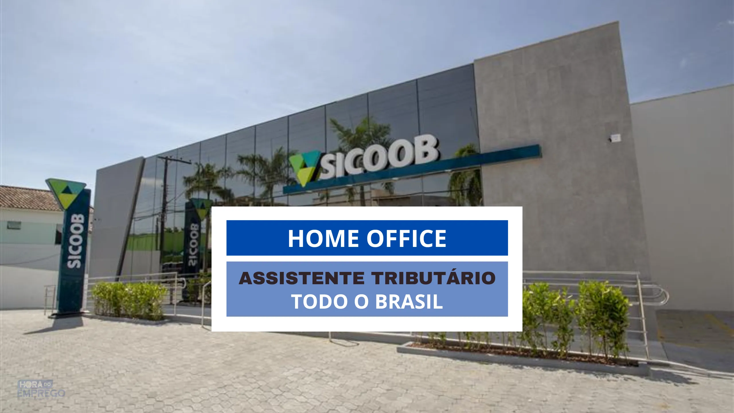 Assistente Tributário