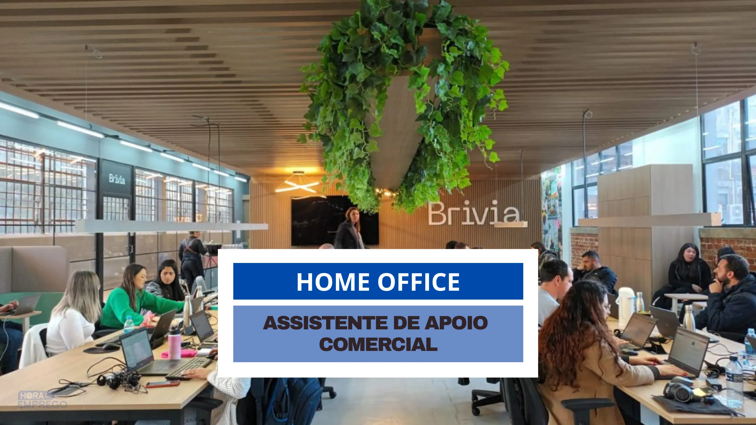 Assistente de Apoio